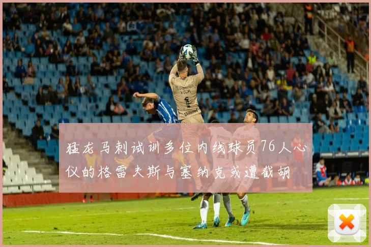 猛龙马刺试训多位内线球员76人心仪的格雷夫斯与塞纳克或遭截胡